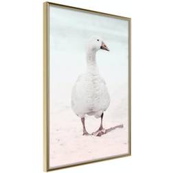 Arkiio Affisch Winter Duck [Poster] 40x60 Poster